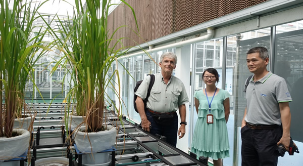 意大利博洛尼亚大学教授Roberto Tuberosa参观考察AgriPheno平台