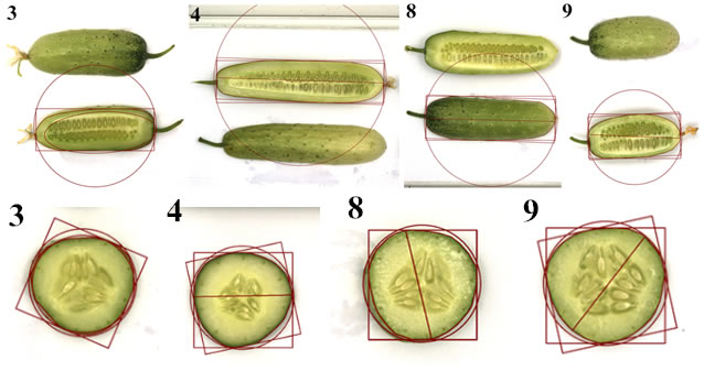 5b5541452e5c5.jpg
