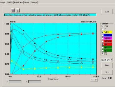两个 AOI 的Fm’, Y(II), qN, Ft 诱导曲线.jpg