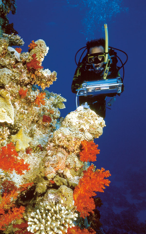 586d07e3c0988.jpg 586d07e3c0988.jpg