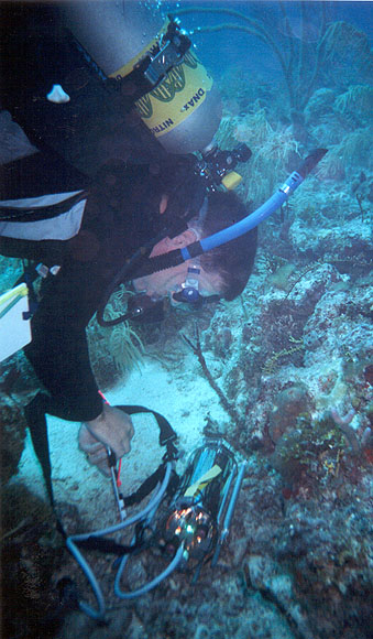 586d0806ec0e4.jpg 586d0806ec0e4.jpg