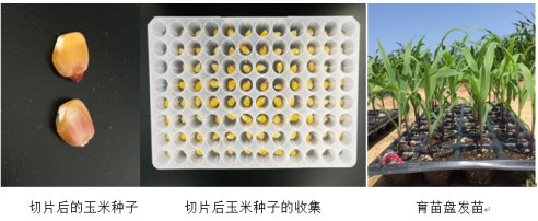 5f17a12280fc0.png 5f17a12280fc0.png